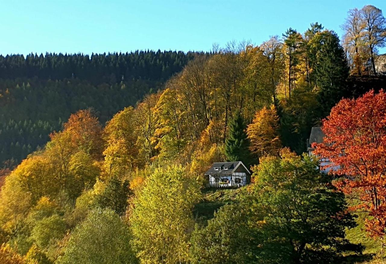 シュマレンベルク Jagthaus Am Rappelsteinヴィラ エクステリア 写真
