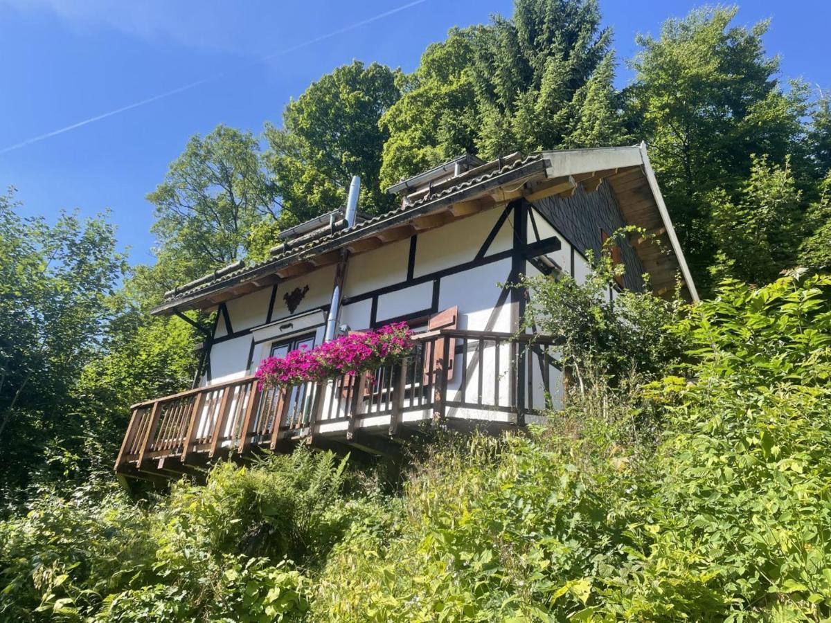 シュマレンベルク Jagthaus Am Rappelsteinヴィラ エクステリア 写真