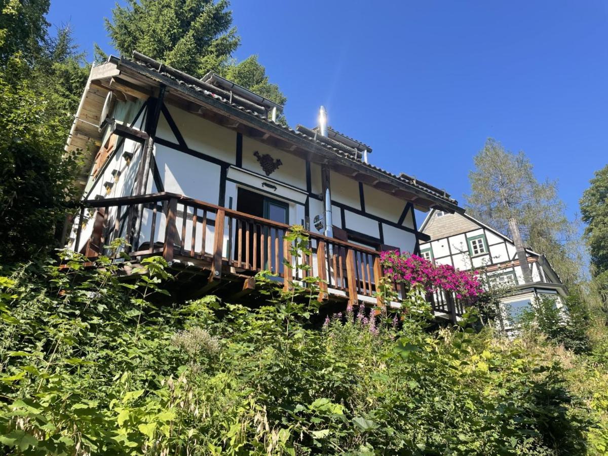 シュマレンベルク Jagthaus Am Rappelsteinヴィラ エクステリア 写真