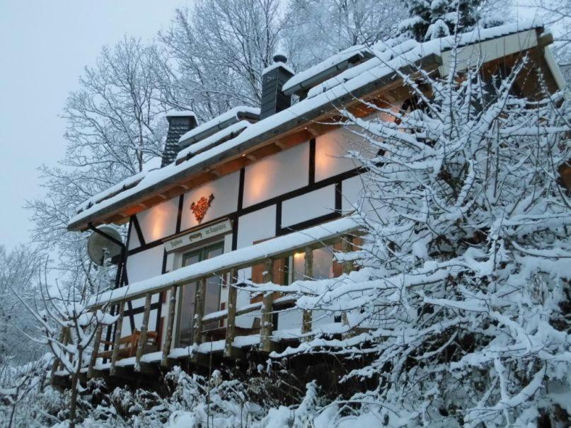 シュマレンベルク Jagthaus Am Rappelsteinヴィラ エクステリア 写真