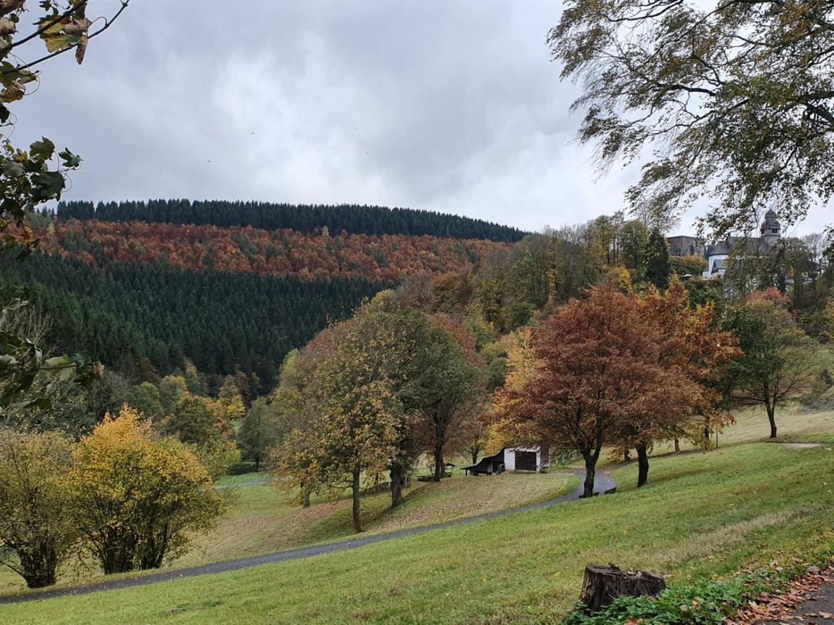 シュマレンベルク Jagthaus Am Rappelsteinヴィラ エクステリア 写真
