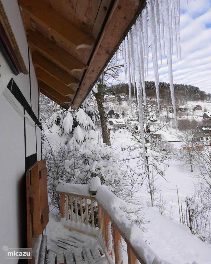 シュマレンベルク Jagthaus Am Rappelsteinヴィラ エクステリア 写真